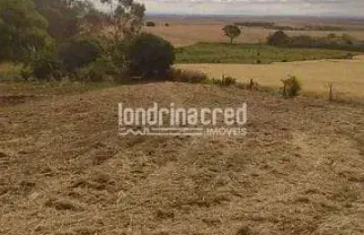 Terreno à venda no Warta, Londrina 