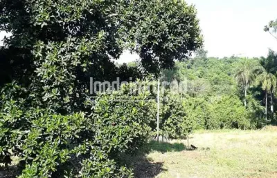 Terreno à venda 5000m², parque jamaica, londrina - pr