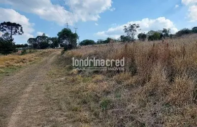 Terreno à venda no Centro, Ponta Grossa 