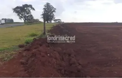 Terreno à venda no Centro, Arapongas 