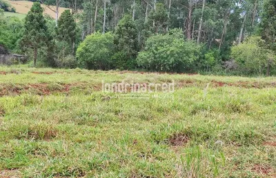 Chácara / sítio à venda na Zona Rural, Ibiporã 