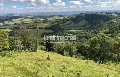 Chácara à venda 314600m², zona rural, rio branco do ivaí - pr