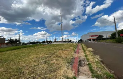Excelente terreno comercial em ibiporã: 487,52 m² em área em crescimento, frente à hayamax, com fác