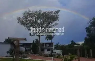 Chácara à venda em arapongas, 2.501m²: casa com 2 quartos (1 suíte), salão com churrasqueira, pisci