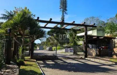 More ou invista junto à natureza exuberante da ilha!