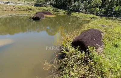 Fazenda à venda na Zona Rural, Guaratuba 