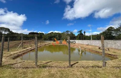 Chácara com 4 dormitórios à venda, 23600 m² por r$ 1.800.000,00 - timbú velho - campina grande do sul/pr