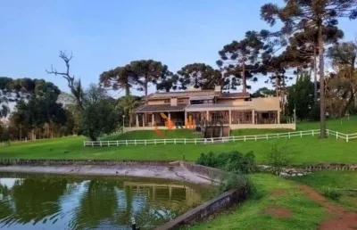 Chácara à venda, 30.000 m² zona rural - contenda/pr