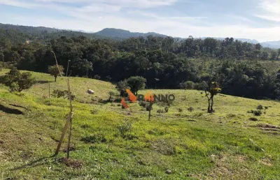 Fazenda à venda na Rodovia BR-376, Campo Largo da Roseira, São José dos Pinhais