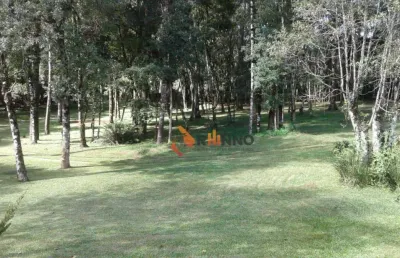 Chácara / sítio com 3 quartos à venda na Rodovia BR-277 Curitiba Ponta Grossa, Centro, Campo Largo