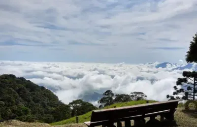 Chácara / sítio com 3 quartos à venda na Zona Rural, Bananal 