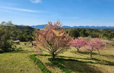 Chácara / sítio à venda na rua fábio vicente de moura, 4295, parque das nascentes, pinhais, 52303 m2 por r$ 3.150.000