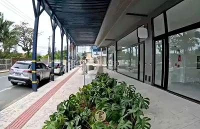 Loja comercial avenida frete mar porto belo-sc, pereque, porto belo - sc