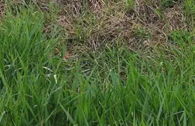 Terreno á venda ! residencial villa verde - bragança paulista sp