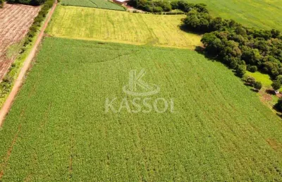 Chácara rural de 5 alqueires localizada no município de santa tereza do oeste.