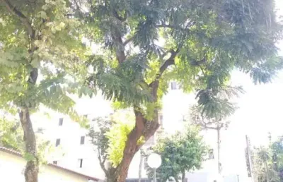 Apartamento para venda em mogi das cruzes, jardim marica, 2 dormitórios, 1 banheiro, 1 vaga