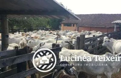 Fazenda à venda no Centro, Araruama 