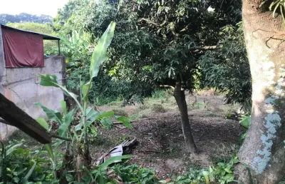 Terreno à venda na estrada do jaguaré, jardim jussara, são paulo, 600 m2 por r$ 650.000