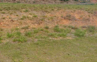 Terreno à venda, 564 m² por r$ 376.000,00 - condomínio santa isabel - louveira/sp