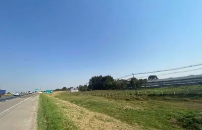Terreno à venda na Rodovia Br376 Contorno Leste, Ouro Fino, São José dos Pinhais