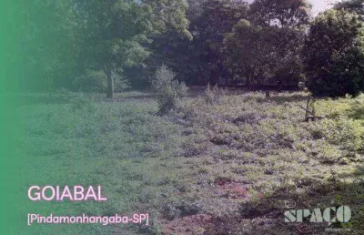 Terreno à venda, 1000 m² por r$ 140.000,00 - goiabal - pindamonhangaba/sp