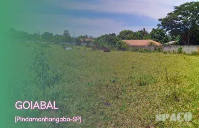 Terreno à venda, 4000 m² por r$ 450.000,00 - goiabal - pindamonhangaba/sp