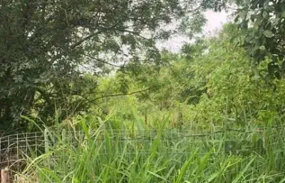 Terreno à venda na Avenida Heitor Vieira, 1550, Belém Novo, Porto Alegre