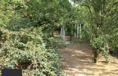 Sobrado para venda - 800m², 3 dormitórios, belém novo