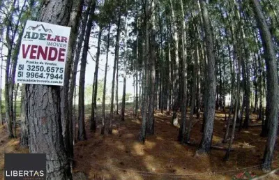 Terreno à venda na Estrada São Caetano, 210, Lami, Porto Alegre
