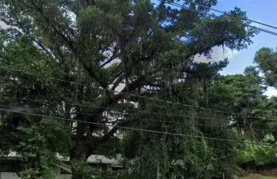 Casa com 6 quartos à venda na Avenida Guaíba, 2898, Vila Assunção, Porto Alegre