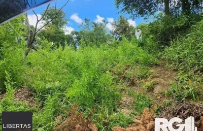 Terreno à venda na Rua João do Couto, 401, Belém Velho, Porto Alegre