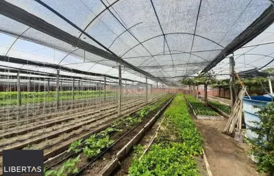 Sítio dentro de porto alegre 6.629,10 metros quadrados de área no bairro campo novo.
