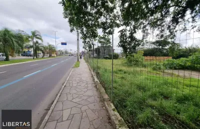 Terreno à venda na Avenida da Cavalhada, 3000, Cavalhada, Porto Alegre