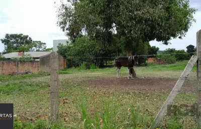 Terreno à venda na Rua Oito Mil e Dezessete, 13, Lageado, Porto Alegre