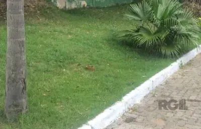 Terreno em condomínio fechado à venda na Rua Manuele Cristiane Gonçalves, 79, Vila Nova, Porto Alegre