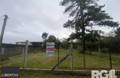 Terreno à venda na Avenida Lageado Costa do Cerro, 534, Lageado, Porto Alegre
