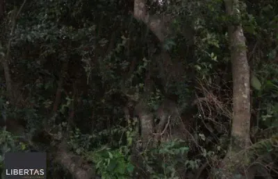 Terreno à venda na Avenida Edgar Pires de Castro, 2380, Aberta dos Morros, Porto Alegre
