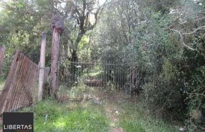Área 53851,44 m²  no beco da paixão bairro lomba do pinheiro