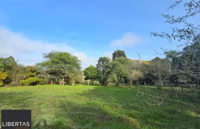 Sitio na restinga com 2 casas e ótima oportunidade para investimento
