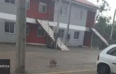 Apartamento com 2 quartos à venda na Estrada Barro Vermelho, 201, Restinga, Porto Alegre