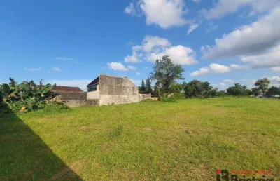 Terreno para alugar, 4000 m² por r$ 15.000 + taxas/mês - costa e silva - joinville/sc