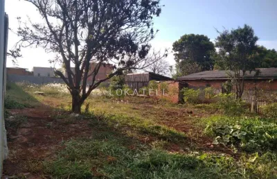 Terreno comercial para alugar na Rua Yanomanis, Santo Onofre, Cascavel