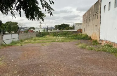 Terreno para locação no bairro cancelli em cascavel