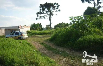 Terreno à venda, 1794 m² por r$ 550.000,00 - são sebastião - são josé dos pinhais/pr