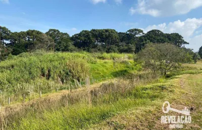 Área à venda, 27219 m² por r$ 9.600.000,00 - zacarias - são josé dos pinhais/pr