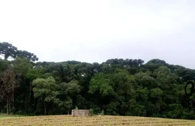 Chácara com 1 dormitório à venda, 40005 m² por r$ 1.850.000,00 - campina do taquaral - são josé dos pinhais/pr