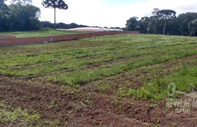 Área à venda, 5860 m² por r$ 1.350.000,00 - roseira - são josé dos pinhais/pr