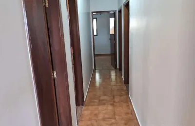 Casa térrea padrão (rua), vila virgínia, ribeirão preto - sp