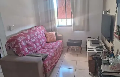 Apartamento padrão, vila virgínia, ribeirão preto - sp