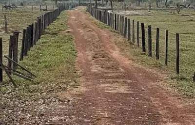 Sítio para venda em santo antônio do leverger, agro vila das palmeiras, 2 dormitórios, 1 suíte, 2 banheiros